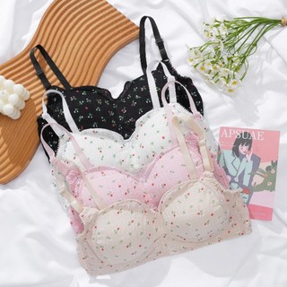Combo 3 Áo Ngực nữ viền ren xinh xắn trẻ trung không gọng đệm mút mỏng thoáng mát King Shop A-739