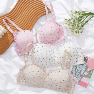 Combo 3 Áo Ngực nữ viền ren xinh xắn trẻ trung không gọng đệm mút mỏng thoáng mát King Shop A-739