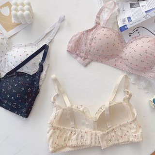 Combo 3 Áo Ngực nữ viền ren xinh xắn trẻ trung không gọng đệm mút mỏng thoáng mát King Shop A-739