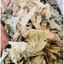 Cây bưởi bung khô JINDO 1kg hỗ trợ giảm đau nhức, phong thấp, hỗ trợ sức khỏe