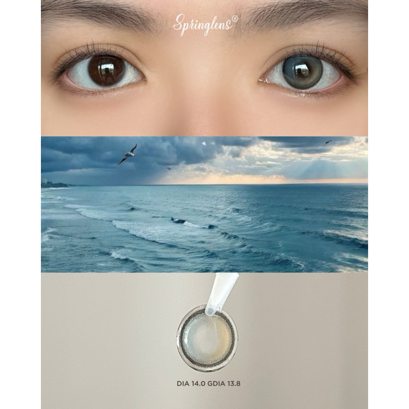 Kính áp tròng AMA BLUE filter xanh biển xám chuyển màu nhẹ có giãn tròng 1 tháng | Spring Lens