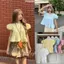 Áo Babydoll cổ tròn tay phồng nữ tính hàng QC E396