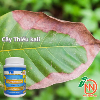 Super Kali Tám Ngọc 100g – Làm Dài Vòi Hoa – Giúp Cây Chịu Hạn - Phân Bón Hoa Lan