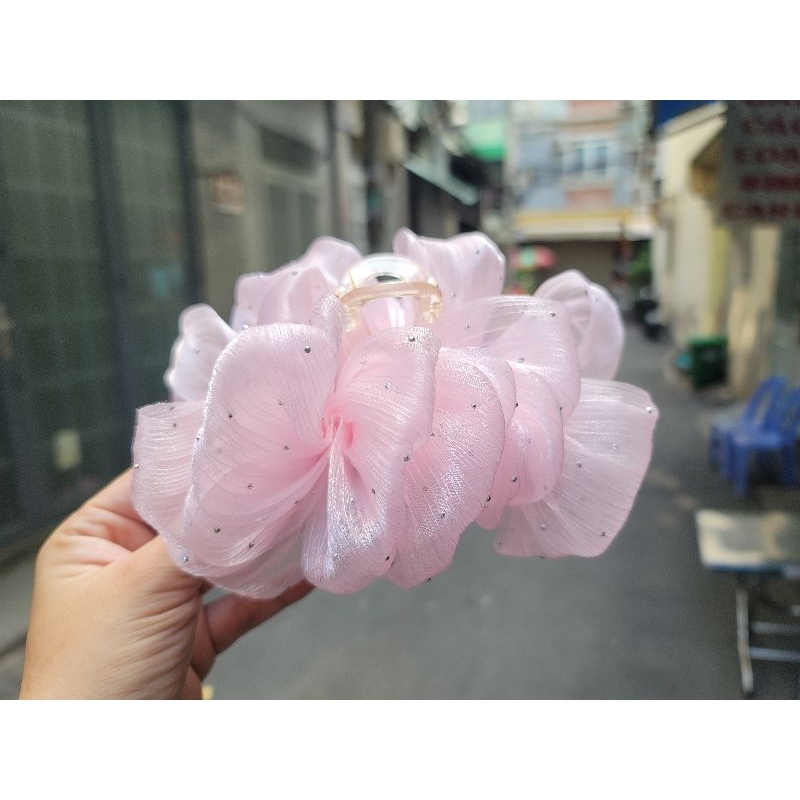 Von lưới hồng đá