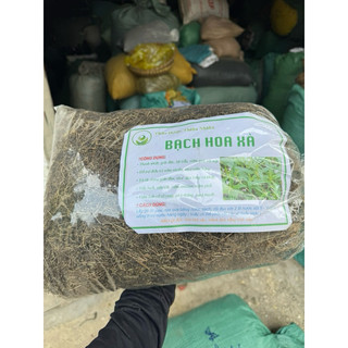 1kg bạch hoa xà ( thiền thảo ) khô sạch, mới LOẠI 1