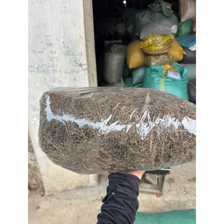 1kg bạch hoa xà ( thiền thảo ) khô sạch, mới LOẠI 1