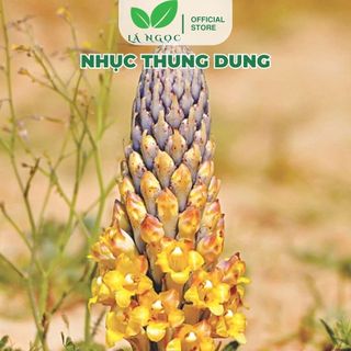 Nhục Thung Dung Khô loại 1 thương hiệu Lá Ngọc gói 500g