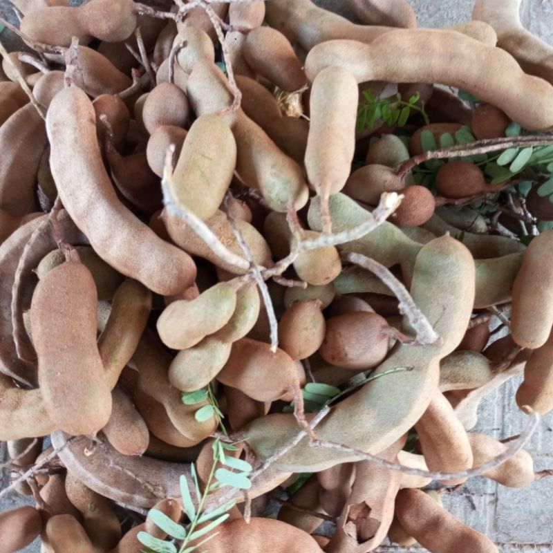 quả me trái me tươi 1kg | Shopee Việt Nam