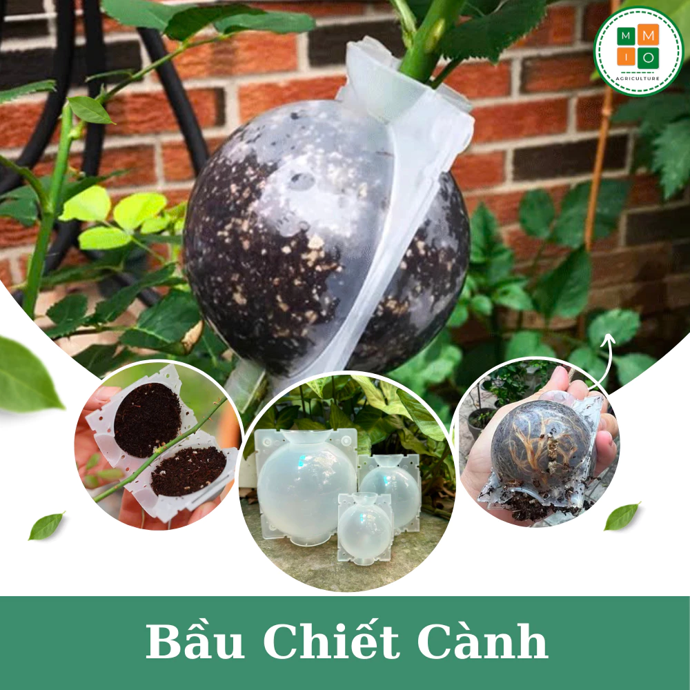 vn 11134207 7ra0g m9s8by6e6aze9b