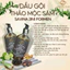 Dầu gội Thảo mộc Sâm FORMEN dành cho nam, dưỡng da đầu, kích thích mọc tóc 500ML