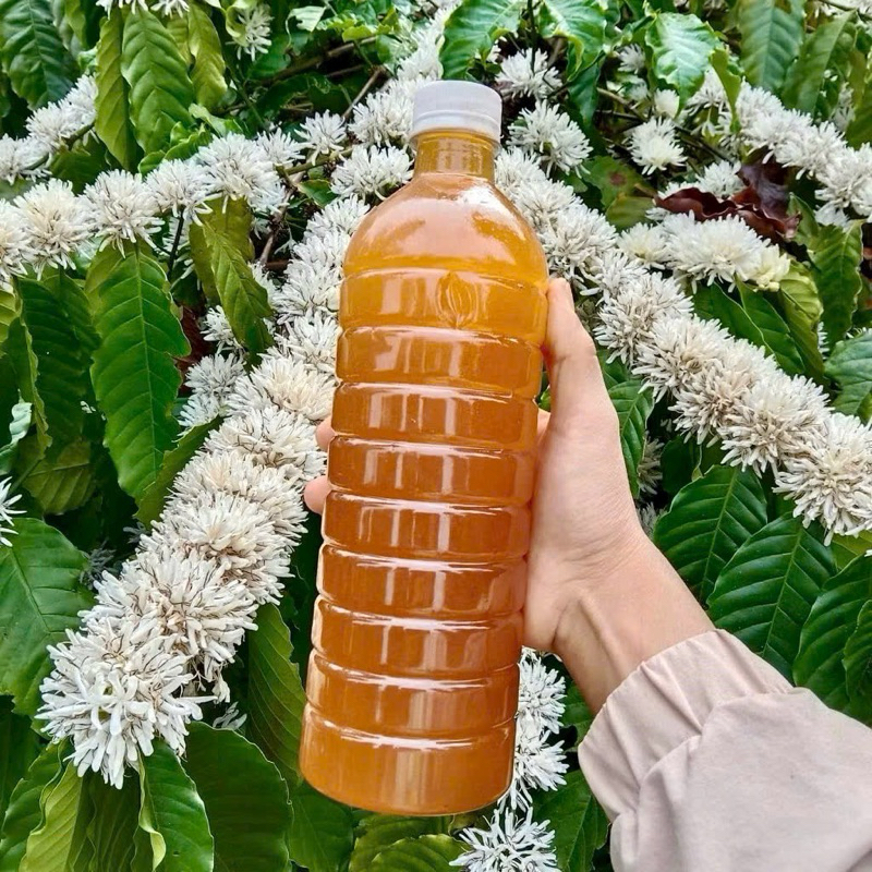 Mật Ong Rừng Tốt Như Thế Nào?
Product image Mật Ong 🍯 Hoa Cà Phê - 100% từ thiên nhiên - Nắng Núi Rừng