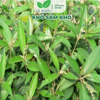 Khổ Sâm Khô hỗ trợ da thương hiệu Lá Ngọc gói 500g