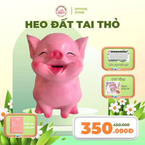 Heo đất tai thỏ cười tươi 20x30 size lớn tiết kiệm mỗi ngày