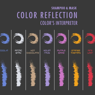 Dầu gội xả tím khử vàng cho tóc màu sáng, tóc bạc, trắng Bes Color Reflection - COOL IT 300mlx2 [ TN ]