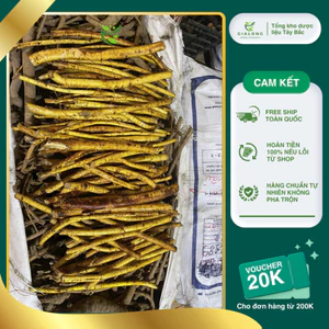 1kg Hoàng Kì Nam Tươi Tự Nhiên Loại 1 - Tăng Đề Kháng, Bổ Phổi, Dưỡng Huyết