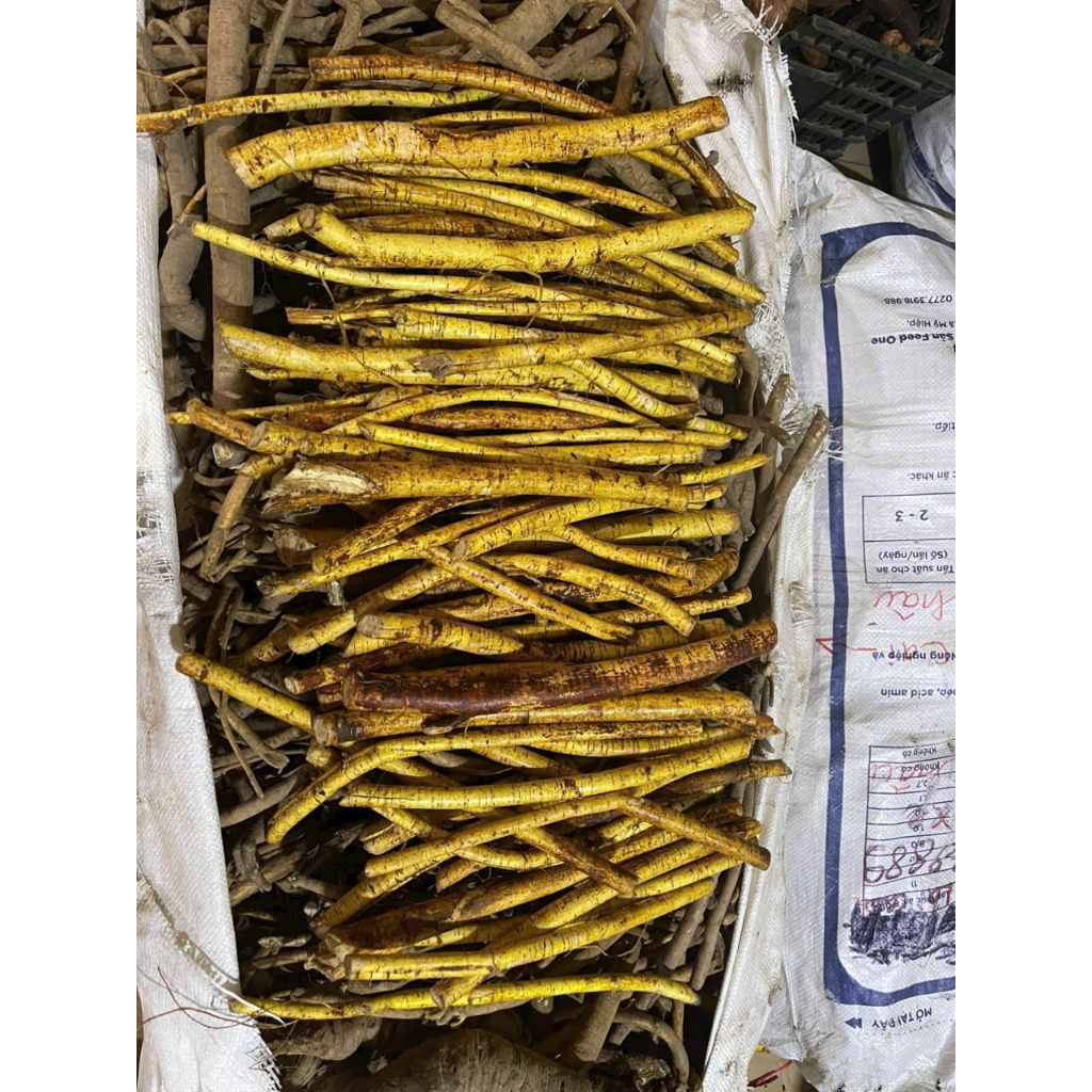 1kg Hoàng Kì Nam Tươi Tự Nhiên Loại 1 - Tăng Đề Kháng, Bổ Phổi, Dưỡng Huyết