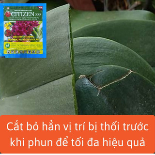 CITIZEN 777 Gói 7gr - Đốm Vàng, Rỉ Sắt,Thán Thư, Thối Nhũn Trên Hoa Lan