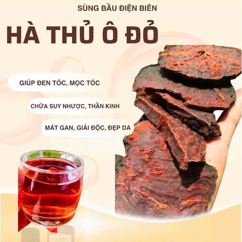 Sản phẩm 1