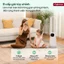 Quạt không cánh lọc không khí UV FUJIHOME BF065 Nhập Khẩu, 9 chế độ gió linh hoạt kết nối Wifi điều khiển từ xa APP