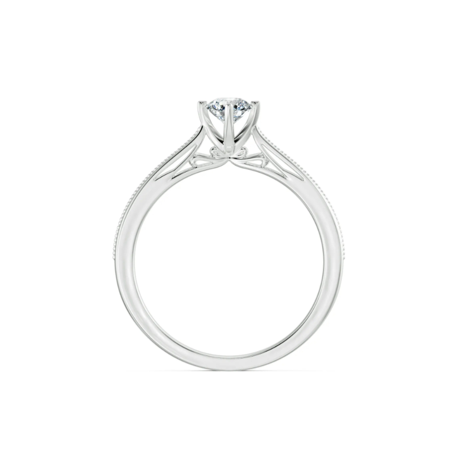 [CHAT TRƯỚC KHI ĐẶT] Nhẫn Cầu Hôn Tierra Ribbon Kiss BCH7112 Vàng 10K/ 14K/ 18K Thiết Kế Dịu Dàng Nữ Tính