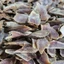 Cao Sâm Núi Dành tăng sức bền bỉ, tăng cơ, tăng đề kháng lọ 200g