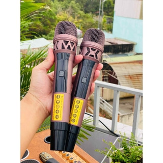 Loa Karaoke 24 Đường Tiếng Kèm 2 Micro Kết Nối Tivi, Điện Thoại, Chỉnh Echo, Bass, Treble Cực Hay.