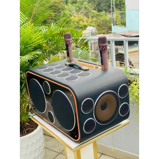 Loa Karaoke 24 Đường Tiếng Kèm 2 Micro Kết Nối Tivi, Điện Thoại, Chỉnh Echo, Bass, Treble Cực Hay.