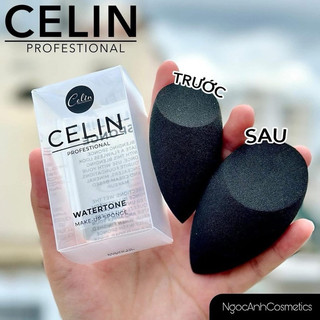 Bông Mút Tán Nền Celin