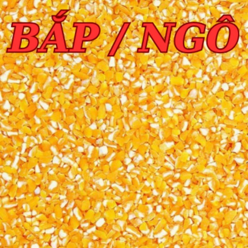 5kg Bắp/ Ngô bể loại 1 làm thức ăn cho gà đá, vịt, chim cu gáy, chuột hamster, gia cầm, vật nuôi