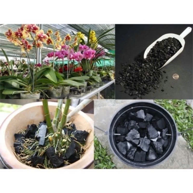 1Kg than củi, than hoa nướng thịt, than củi gỗ, than củi trồng lan