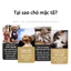 Tã vệ sinh thú cưng, Tã dùng một lần chất lượng cao cho mèo và chó, chống rò rỉ và thấm hút
