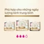 Combo 8 gói Băng Vệ Sinh Kotex Nhập Khẩu Cicada Siêu Mỏng Cánh 24cm 7 miếng