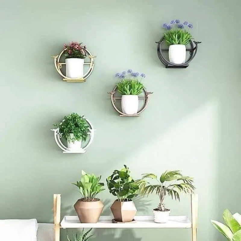 Kệ treo cây cảnh dán tường trang trí nhà cửa, ban công  miếng dán tường siêu chịu lực