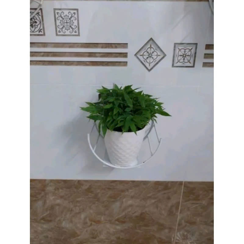 Kệ treo cây cảnh dán tường trang trí nhà cửa, ban công  miếng dán tường siêu chịu lực
