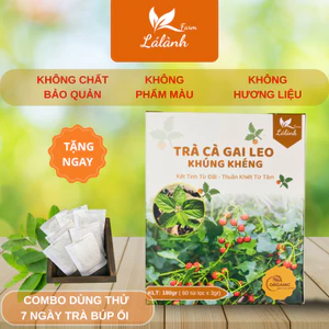 1 Hộp Trà Cà Gai Leo Khúng Khéng Lá Lành Farm - 60 Gói Túi Lọc Thảo Dược Chăm Sóc Gan Từ Tự Nhiên
