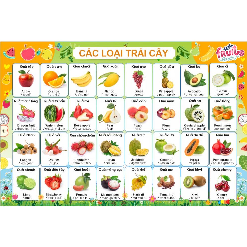 💥 KHUYẾN MẠI SP MỚI 💥 Tranh dán nguyên tấm hoa quả song ngữ có phiên âm, giúp bé học hiệu quả!