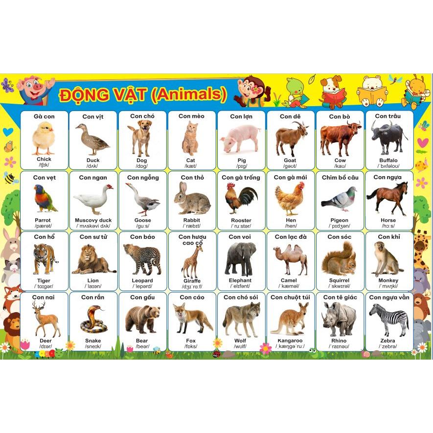 💥 KHUYẾN MẠI SP MỚI 💥 Tranh dán nguyên tấm hoa quả song ngữ có phiên âm, giúp bé học hiệu quả!