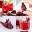 Hoa Atiso đỏ khô 1kg, trà hoa bụp giấm nguyên bông, hibiscus, giúp đẹp da, giảm nóng trong, detox