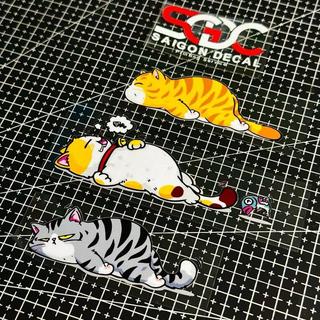 Tem Sticker DTF Bộ 3 Mèo Con Ngủ Gục |SGDC - 1 Cái/Bộ|