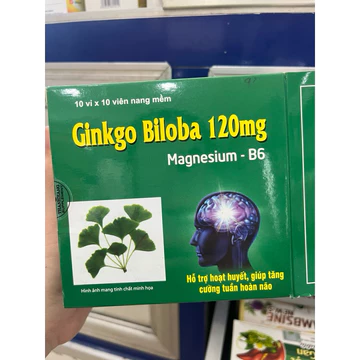 ✅Viên Uống Bổ Não Ginkgo Biloba / Bổ Sung Dưỡng Chất Cho Não / Cải Thiện Trí Nhớ/Mất Ngủ ( hộp 100v)