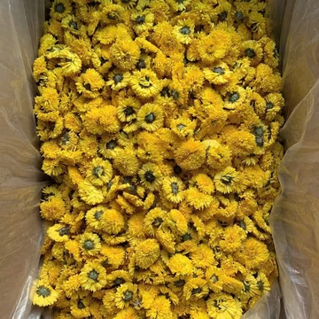 1kg Hoa Cúc Vàng Lọc Vụn Sấy Khô Cao Cấp Tặng 50gr cỏ ngọt, Hoa Cúc Vàng Pha Trà Thanh Nhiệt, Trà Hoa Cúc