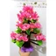 CÂY Nỉ - chơi góc xây dựng - đồ chơi mầm non