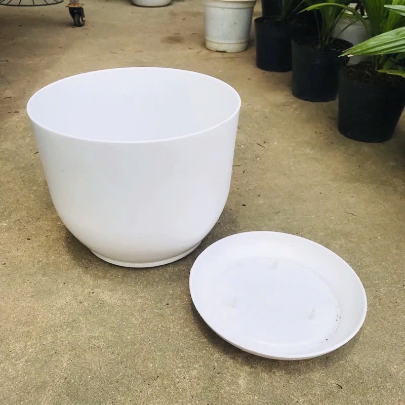 (Chậu +đĩa) Chậu nhựa tròn trắng giả sứ kèm đĩa siêu xinh, giống sứ 99% siêu xinh