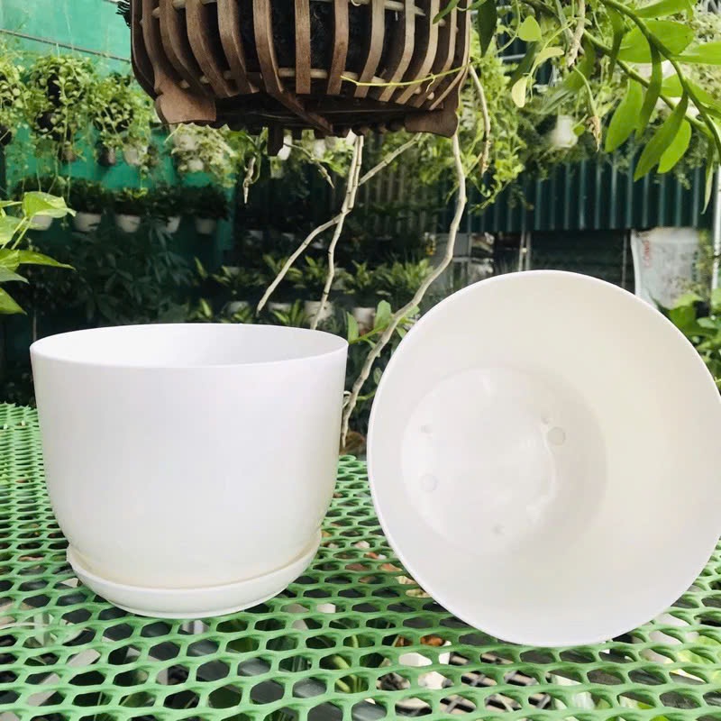 (Chậu +đĩa) Chậu nhựa tròn trắng giả sứ kèm đĩa siêu xinh, giống sứ 99% siêu xinh