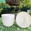 Chậu nhựa tròn giả sứ trắng kèm đĩa trồng cây cảnh mini, sen đá, sương rồng kèm hàng dày đẹp (Tròn sứ trơn)