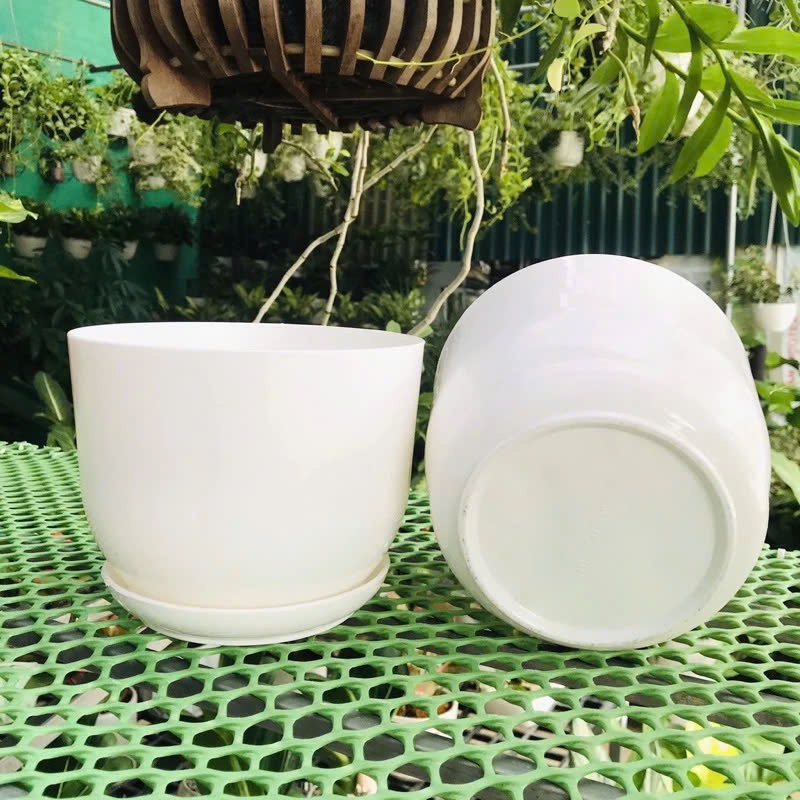 (Chậu +đĩa) Chậu nhựa tròn trắng giả sứ kèm đĩa siêu xinh, giống sứ 99% siêu xinh