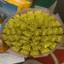 Trà thảo Mộc Sâm Nam Núi Dành ngủ ngon, mát gan, giải độc, hạ mỡ máu, đẹp dáng, đẹp da, tăng đề kháng