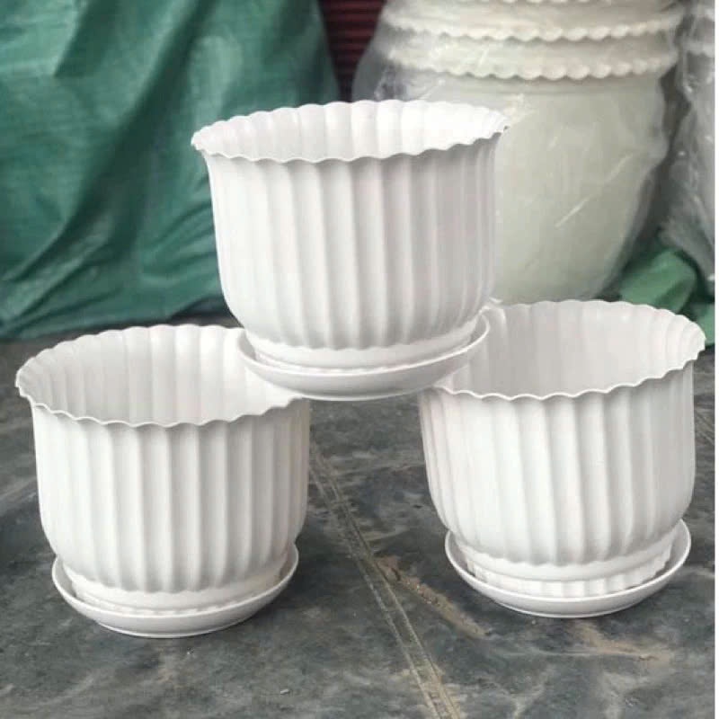 (Chậu+ đĩa) Chậu nhựa để bàn có đĩa giả sứ gân sọc tròn trắng 3 size trồng hoa cây cảnh