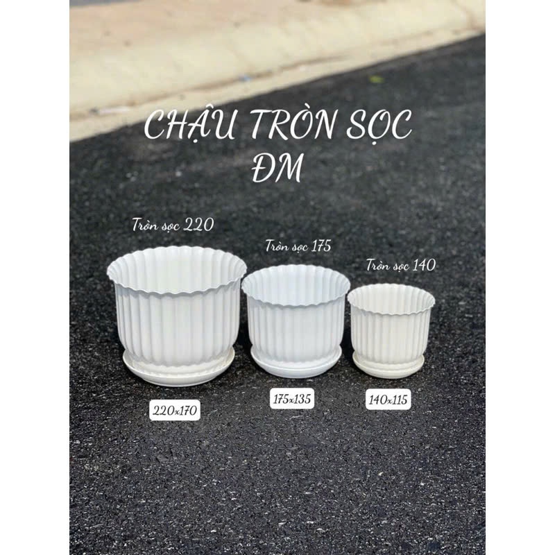 (Chậu+ đĩa) Chậu nhựa để bàn có đĩa giả sứ gân sọc tròn trắng 3 size trồng hoa cây cảnh