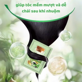 Hộp 10 Gói Dầu Gội Nhuộm Tóc Thảo Dược Tấm Thị, Dầu Gội Phủ Bạc Nhuộm Tóc Đen, Nâu Nuôi Dưỡng Kích Thích Mọc Tóc Vân Thỏ